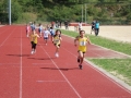 30715-jpg